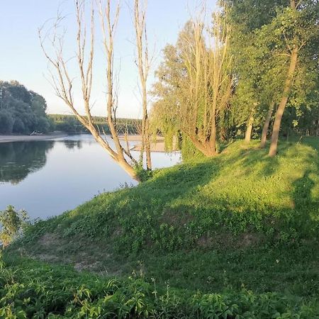 Villa Pertini Appartamento Primo Piano Nel Parco Oglio Sud Canneto sull'Oglio Exterior photo
